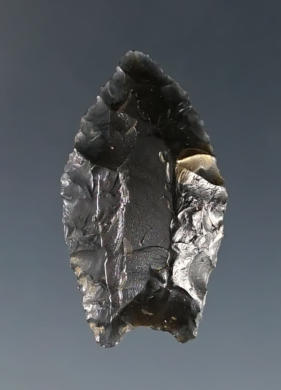 Small 1" Humboldt Concave Base made from obsidian. Found in Oregon. Ex. C.L. Pugh Museum.