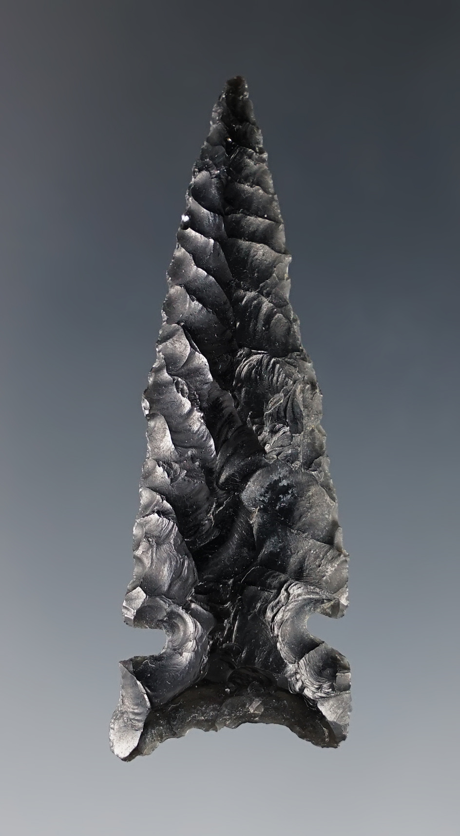 Excellent flaking on this 2 1/4" Northern Sidenotch found in Oregon. Ex. CL Pugh Museum.