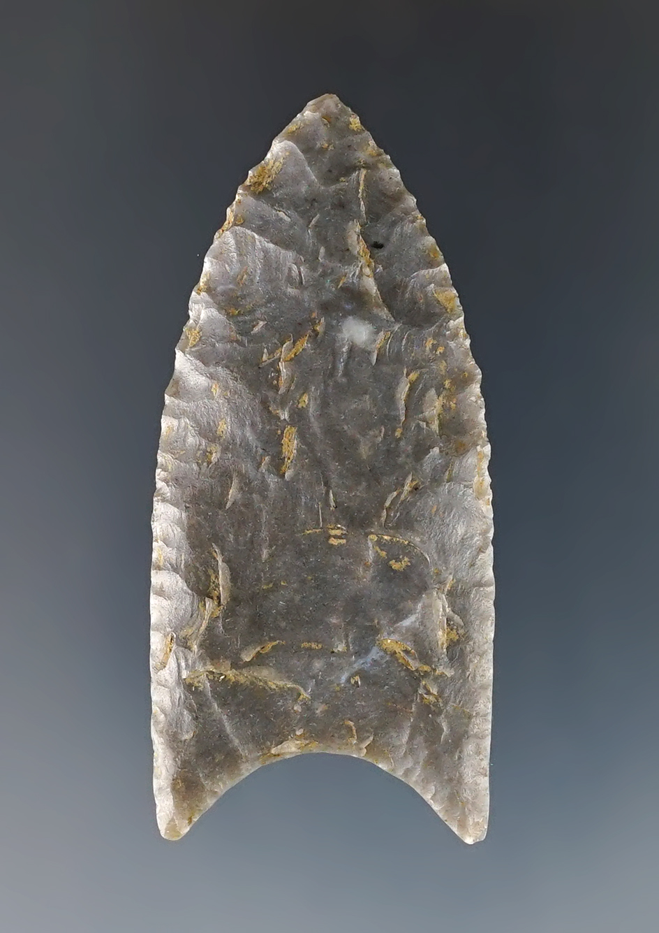 Superb! 2 5/16" Paleo Flute - Western Kentucky. Incredible flaking. Ex. Dr. Homer Scaggs.