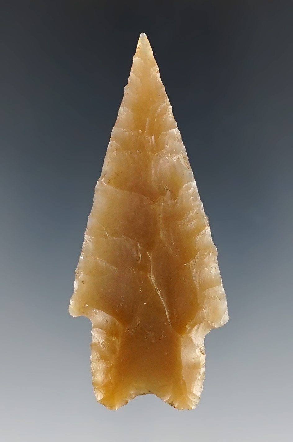 Semi-translucent and well flaked 2 3/4" Pedernales found in Kendall Co., Texas. Rogers COA.