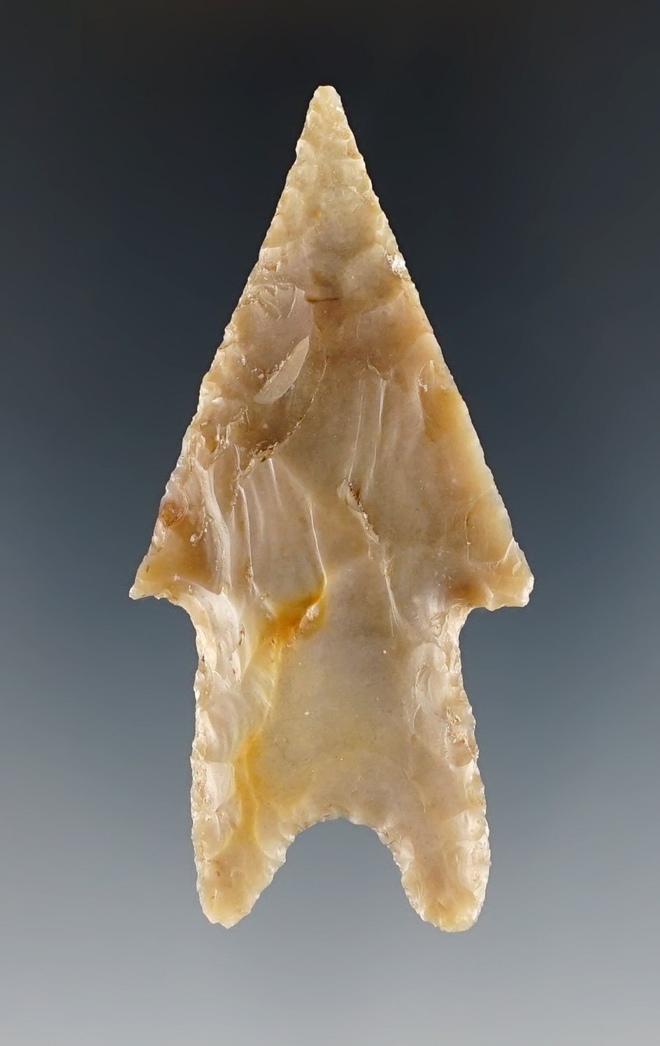 Nice 2 11/16" Pedernales found in Bandera Co., Texas. Comes with a Rogers and Arnold COA's.