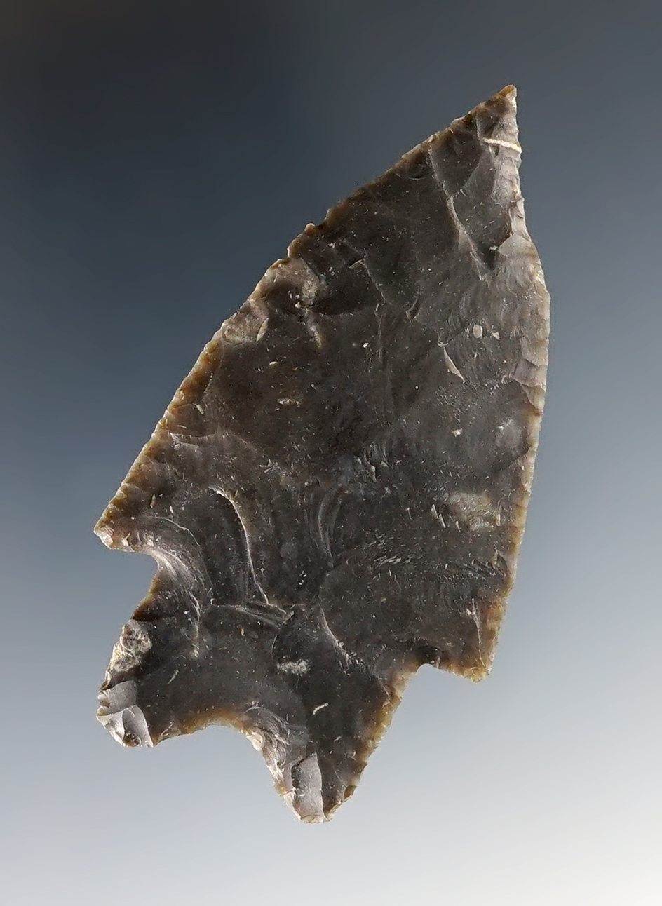 Thin and well made 2 5/8" Texas Pedernales made from dark gray chert.