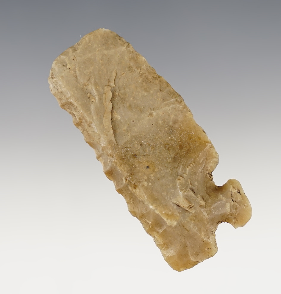 Unique and well made 2 1/2" Texas Corner Tang Knife. Steeply beveled on one edge.