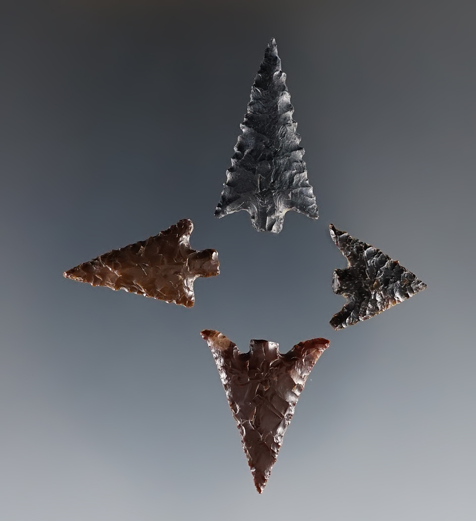 Set of 4 fine Columbia River Points. Ex. Frank Wilke. The largest is 1 1/8".