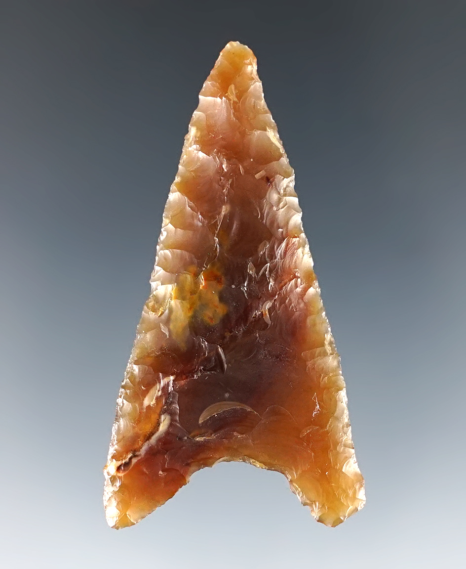 Semi-translucent 2 3/16" Columbia Mule Ear.  Ex. C.L. Pugh Museum.