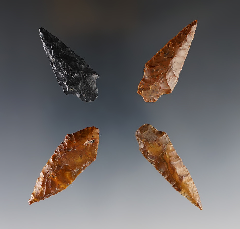 Set of 4 Rabbit Island Points found near the Columbia River, largest is 2". Ex. Gene Favell.