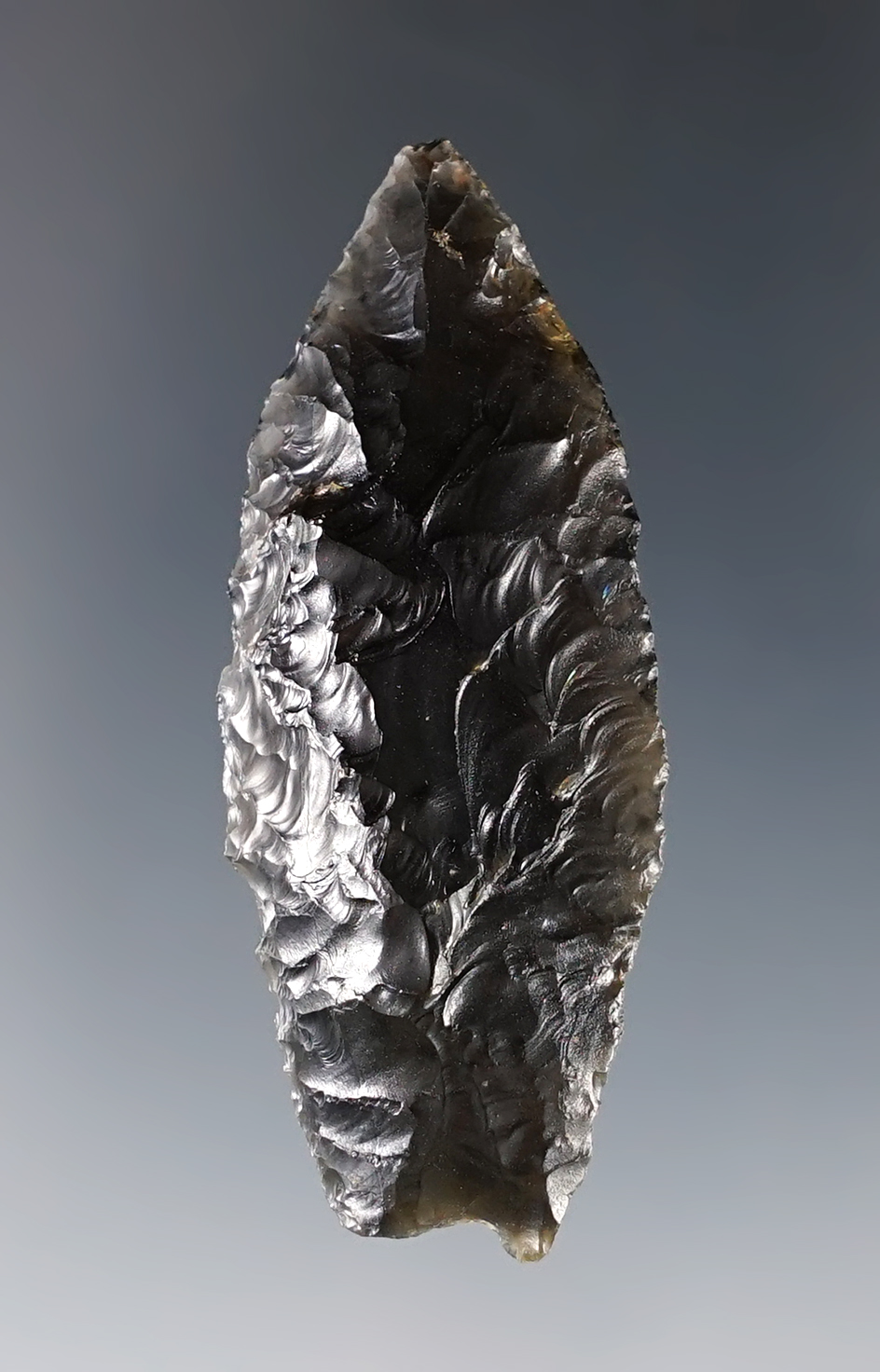2 3/16" Humboldt Concave Base made from obsidian. Found in Oregon. Ex. C.L. Pugh Museum.