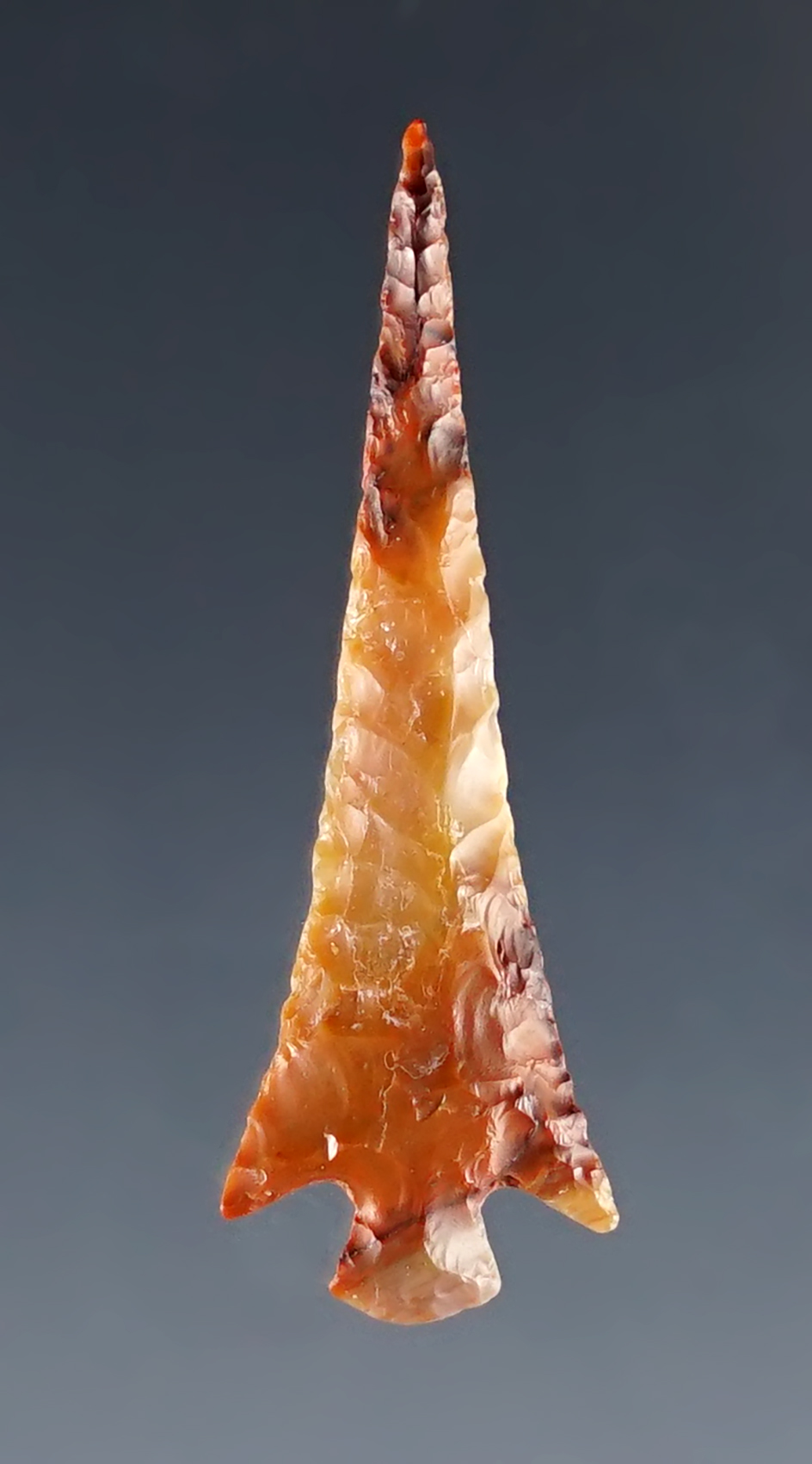 Beautiful color on this 1 5/16" Columbia Plateau. Ex. Gene Favell Museum collection. 