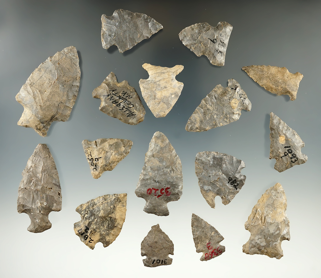 Group of 16 assorted arrowheads found in Allegheny Co., New York, largest is 2 1/16".