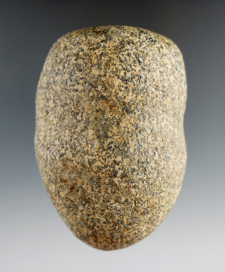 Large 3 3/4" speckled granite Archaic Hammerstone found in Lucas Co., Ohio. Nicely shaped