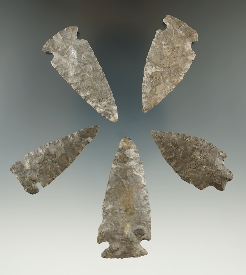 Set of five Onondaga chert points found in New York, largest is 2 3/8".