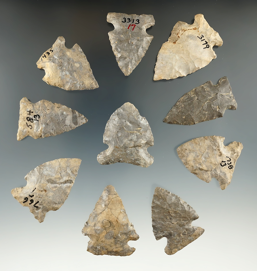 Set of 10 assorted arrowheads found in New York, largest is 1 3/4".