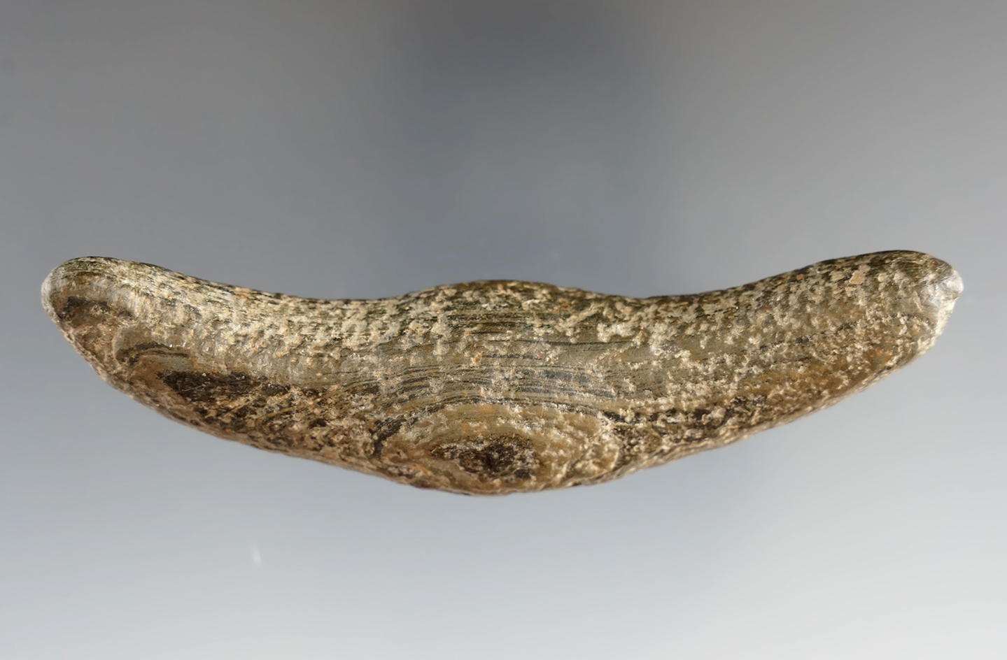 3 5/8" miniature Pick Bannerstone Preform found in Orange Township, Ashland Co., Ohio.