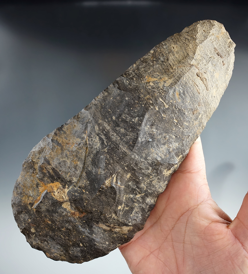 Rare material for type! 7 3/4" Mississippian period Hoe made from Coshocton Flint - Ohio.