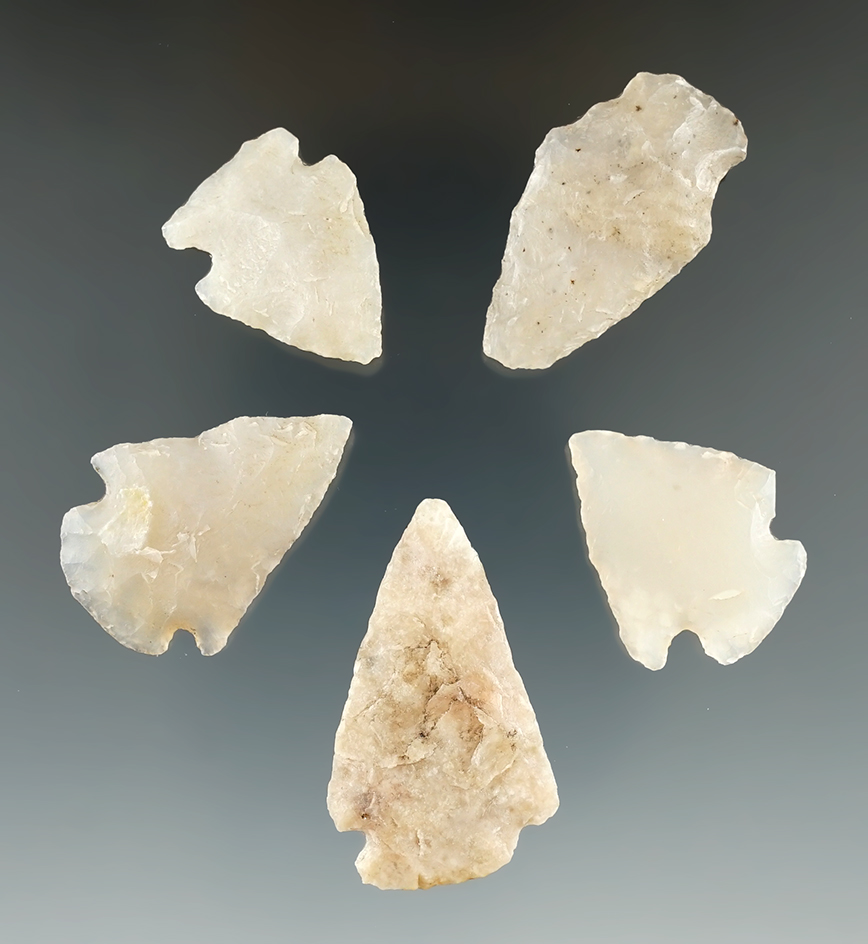 Set of five chalcedony arrowheads found by Harlan Olson in Kingsbury Co., South Dakota.