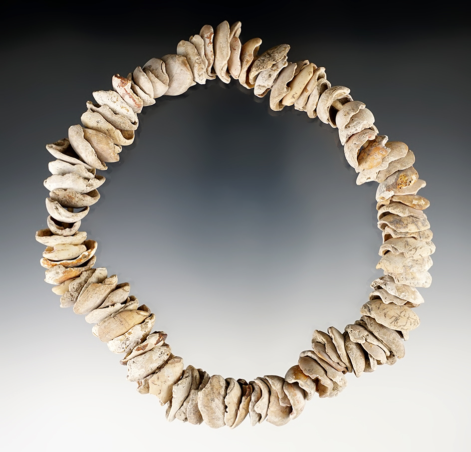 15" Long strand of 200 drilled shell beads found a site in Sacramento Co., California.