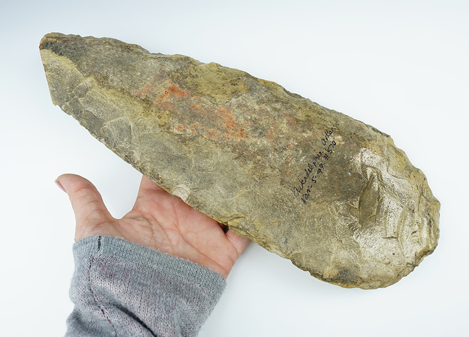 11 5/8" Hoe with excellent use polish to bit area. Reported as being found in Arkadelphia, AR. COA