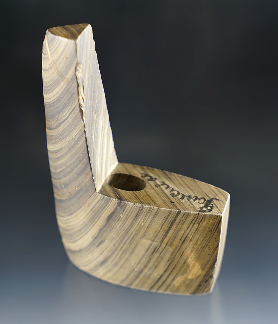 Sale Highlight! 4 3/16" Beautifully Banded Slate Geniculate found in Chenango Co., New York.