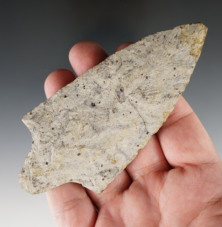 Thin and beautifully flaked 4 3/4" Adena made from attractive Rhyolite. Found in Fairfax Co., VA.