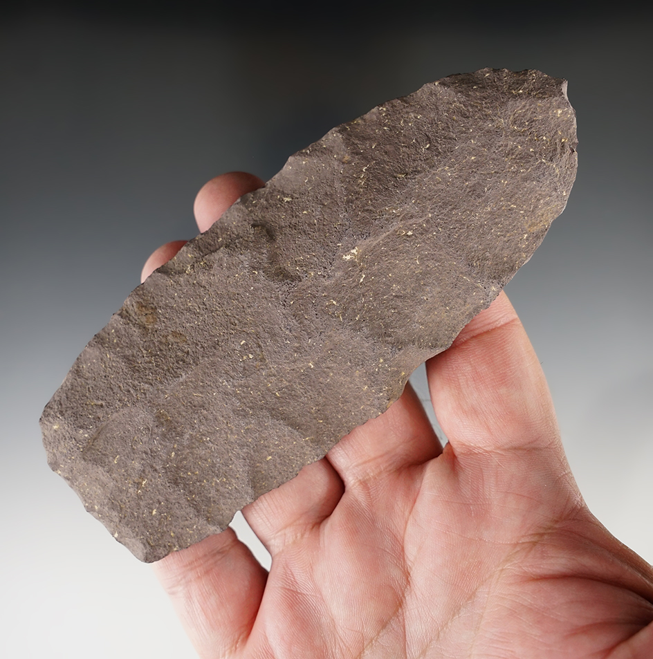 5 3/8" Petales Blade made from Rhyolite. Found in Maryland.