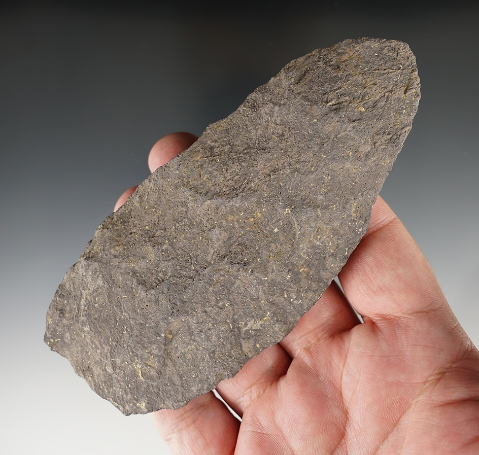 5 1/4" Rhyolite Petales blade found in Maryland.