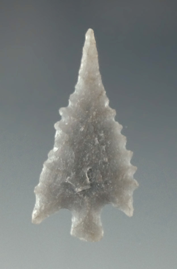 1 1/8" Calapooya point with nice edge serrations found in northern California. Ex. Charlie Shewey.