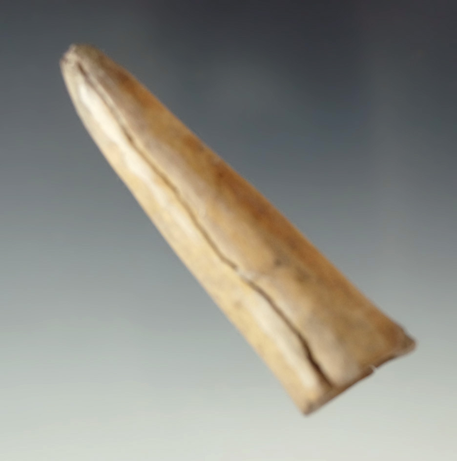2 1/2" Conical Antler Tine projectile point found in Arkansas. Ex. Charles Shewey collection.