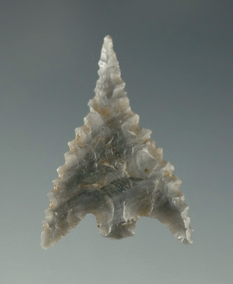 Excellent style - 1 1/16" beautifully serrated Calapooya point found in California. Ex. Shewey. COA.