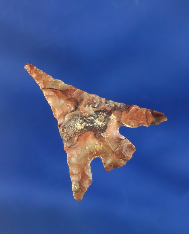 Nicely styled wings on this 1 1/16" Columbia Plateau found near the Columbia River. Stermer COA.