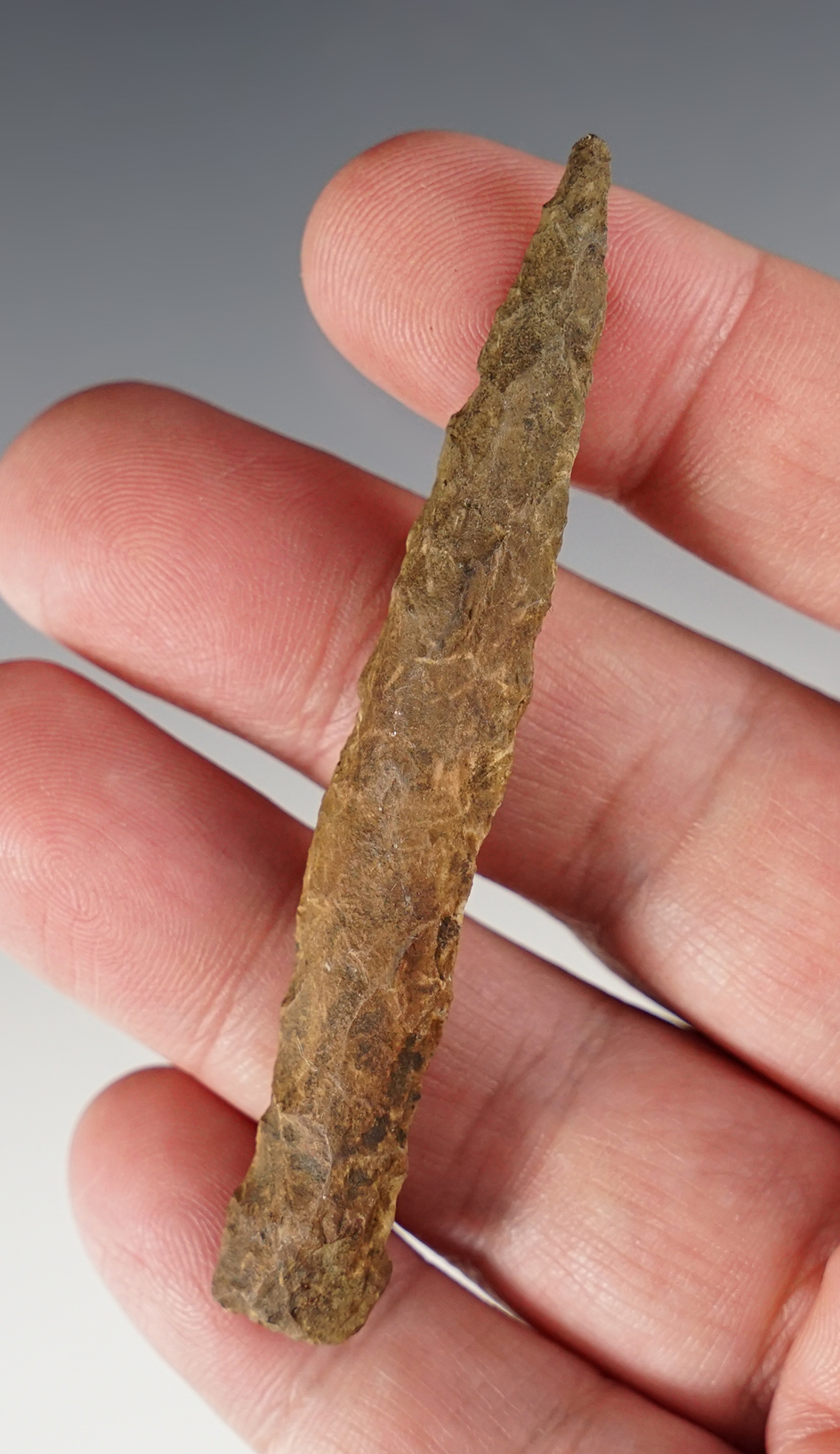 3 1/8" Drill found at the Mudlock Site, Cayuga Lake, Cayuga Co., New York.