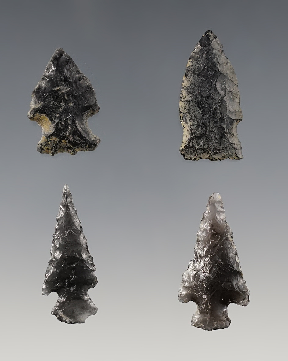 Set of four assorted Obsidian Points found in Oregon. Largest is 1 1/4".  Ex. Wilke Museum.