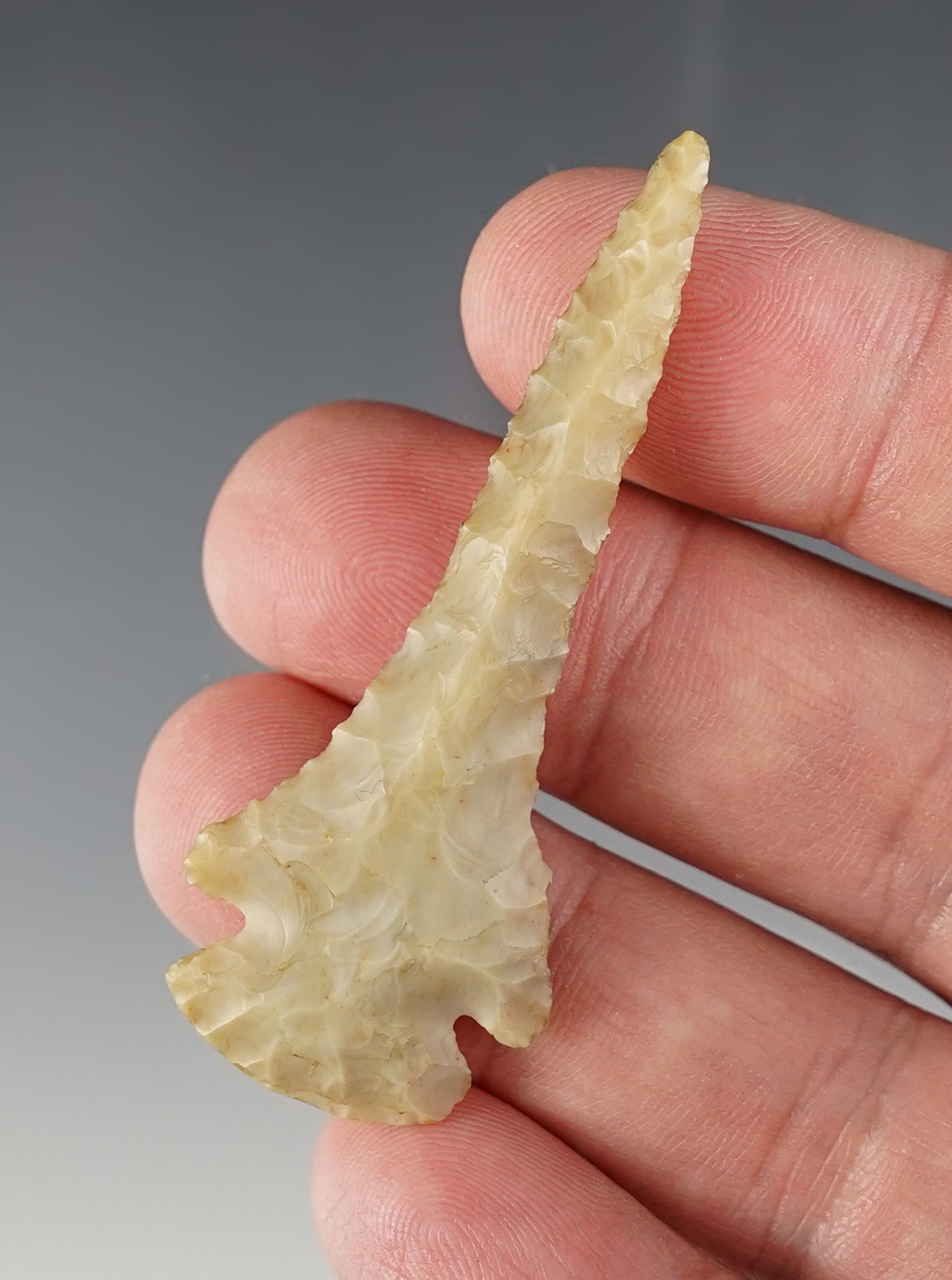 2 1/2" classic and rare Archaic Dovetail Drill with great form. Crawford Co., Ohio.