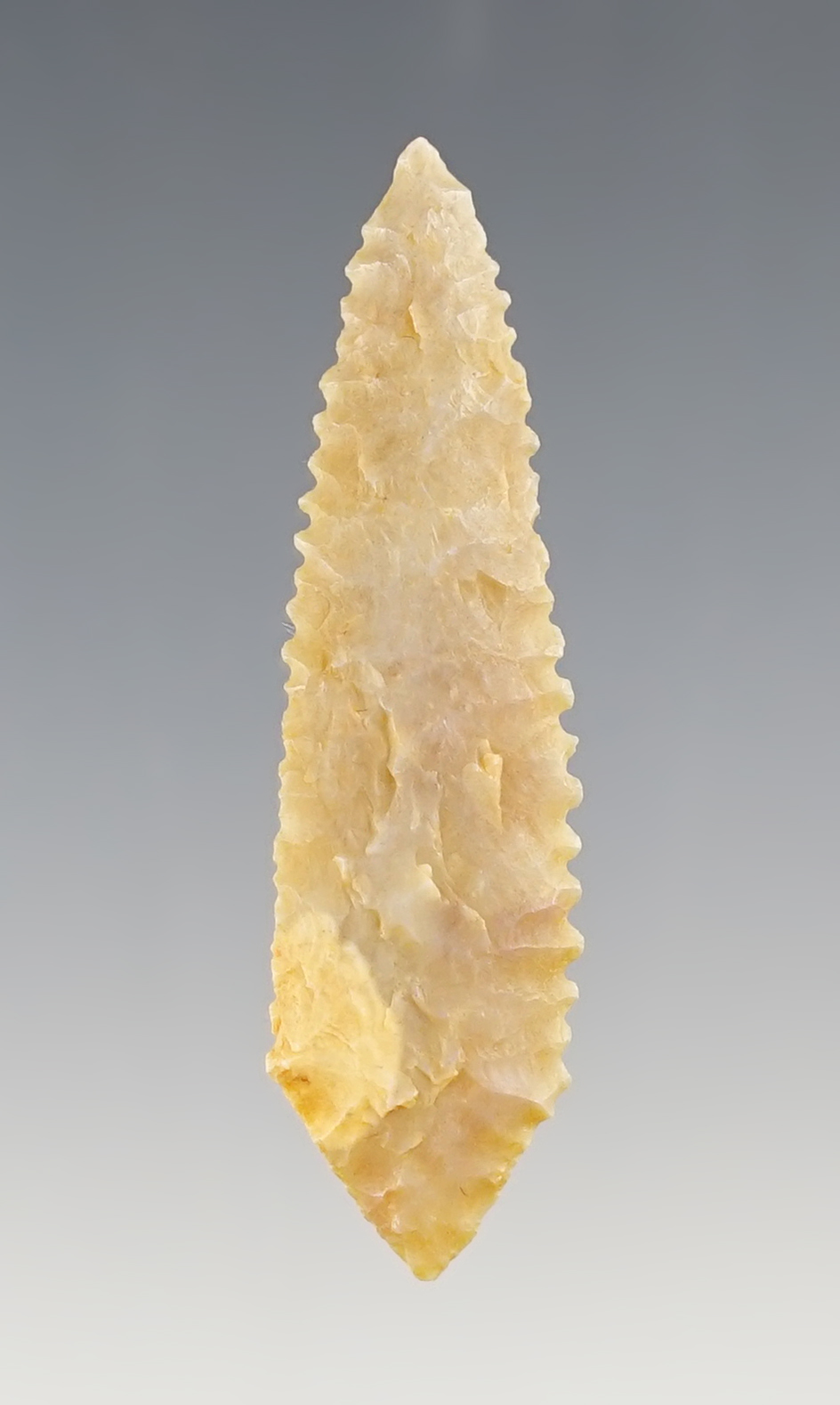 Large for type! 2 1/4" serrated Neolithic Leaf Point - northern Sahara desert region of Africa.