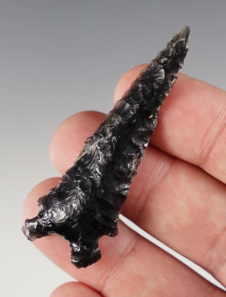 2 7/16" Hopewell geared made from Obsidian. Found in Oregon. Ex. C.L. Pugh Museum. 