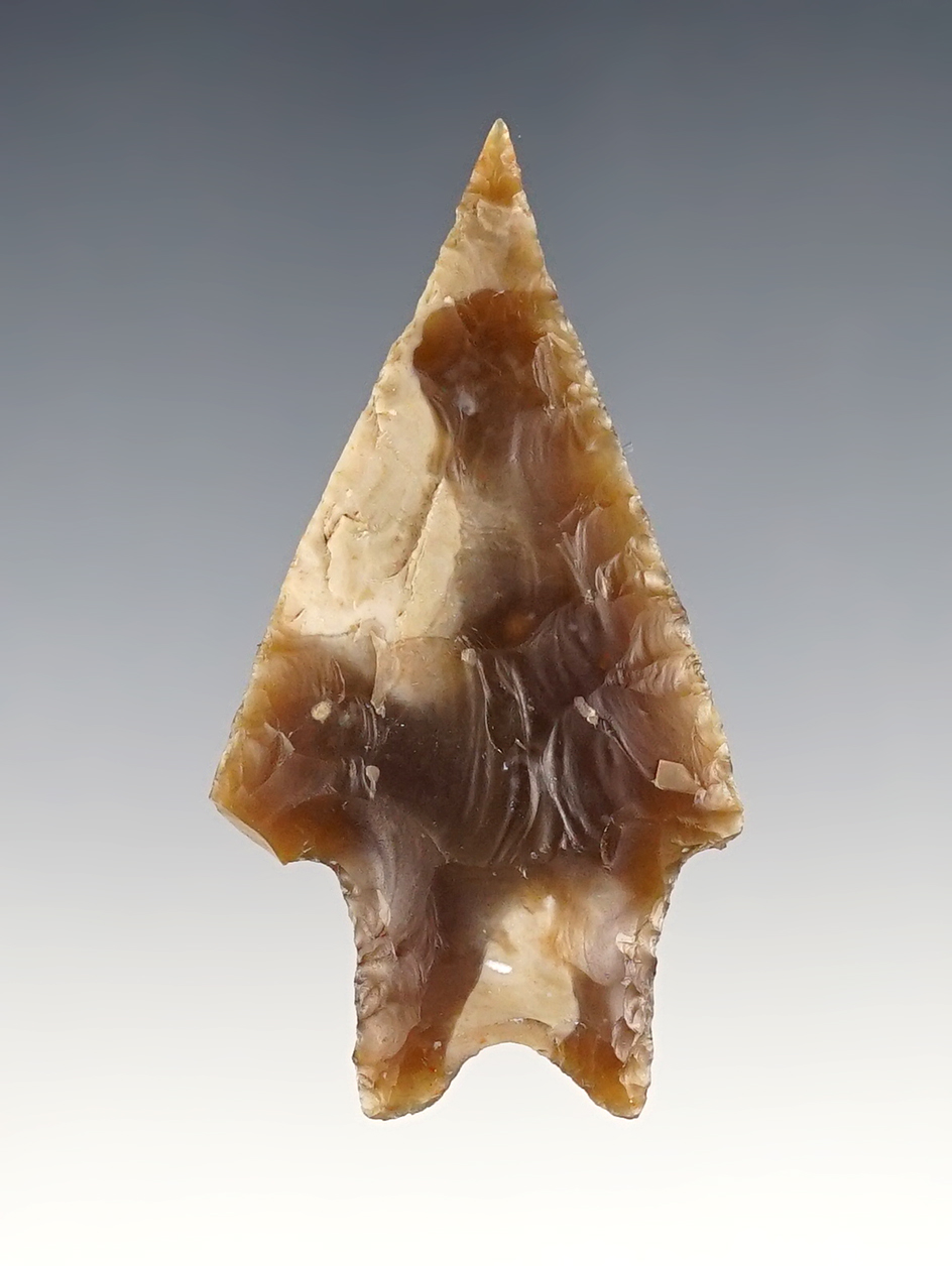 2 9/16" Texas Pedernales made from beautiful Flint with a nice sharp tip.