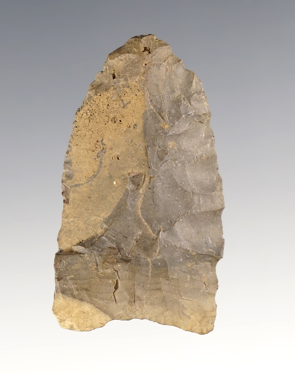 2" Holcomb Transitional Paleo found in Cayuga Co., New York