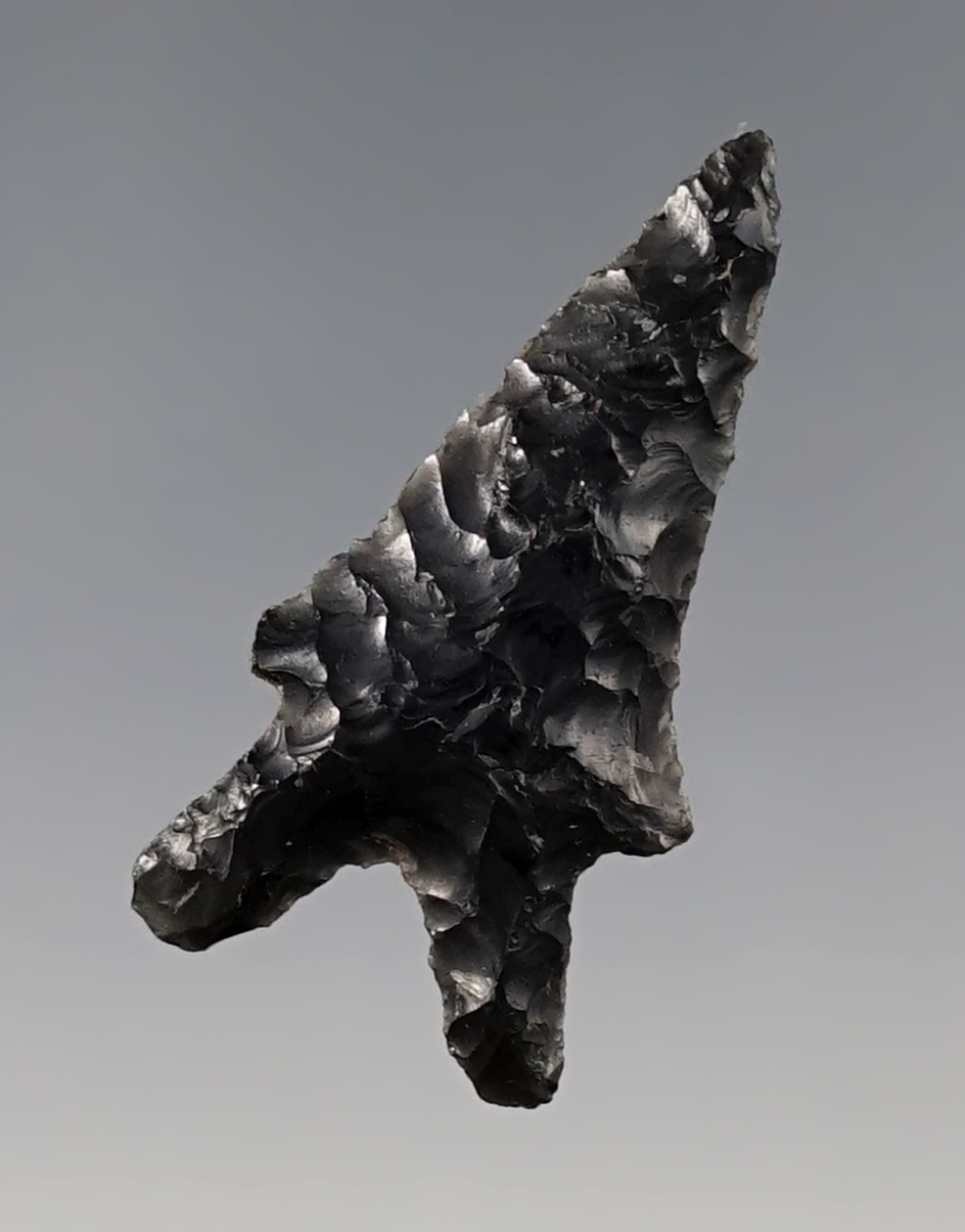 Deeply Bifurcated 1 1/2" Obsidian Point found in Lake Co., Oregon in the 1950's.