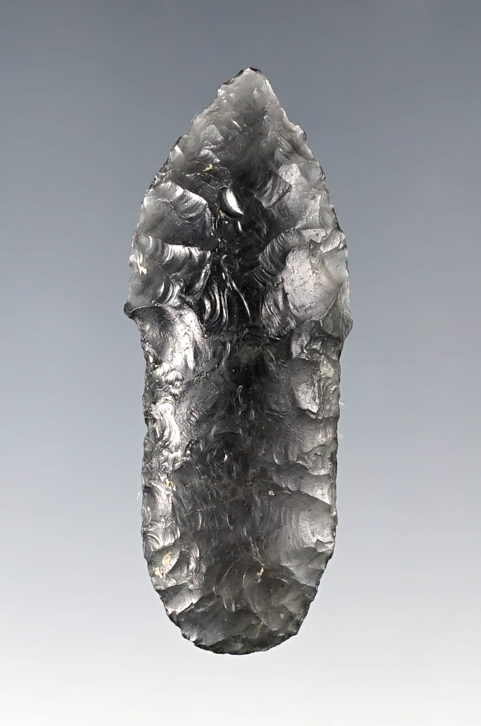 1 13/16" Lake Mojave - vicinity of Christmas Valley and Fort Rock, Lake Co., Oregon. Stermer COA. 