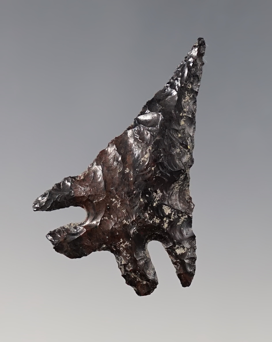 Superb 1 5/8" Elko. Found close to Tulelake, California in the 1950's by farm workers in fields.