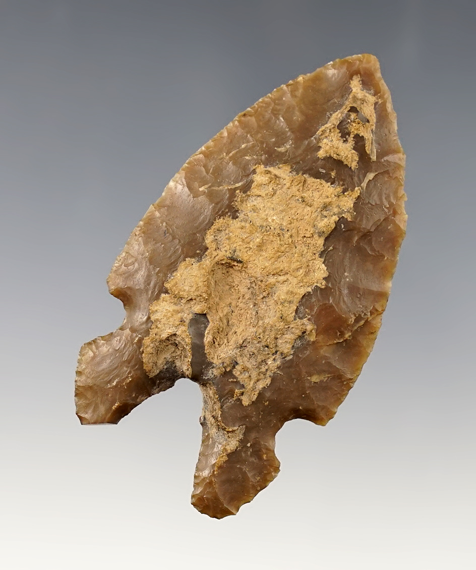 Very unique 2 11/16" Bifurcated-base Point found near Burns, Oregon in the 1960's.