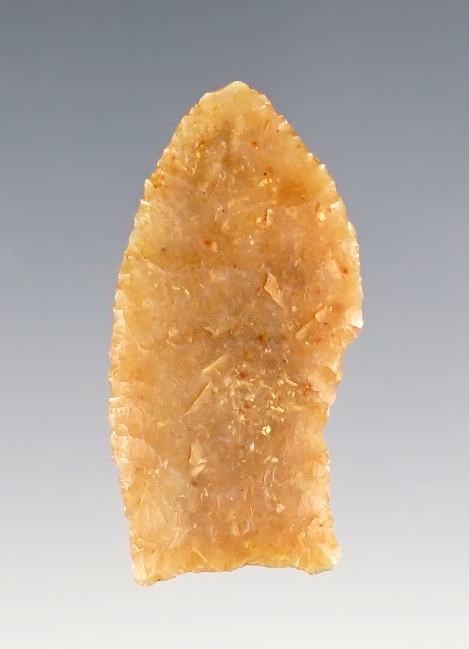 1 3/8" Midland found in Gaines Co., Texas. Thin with exceptional flaking. Anciently salvaged.