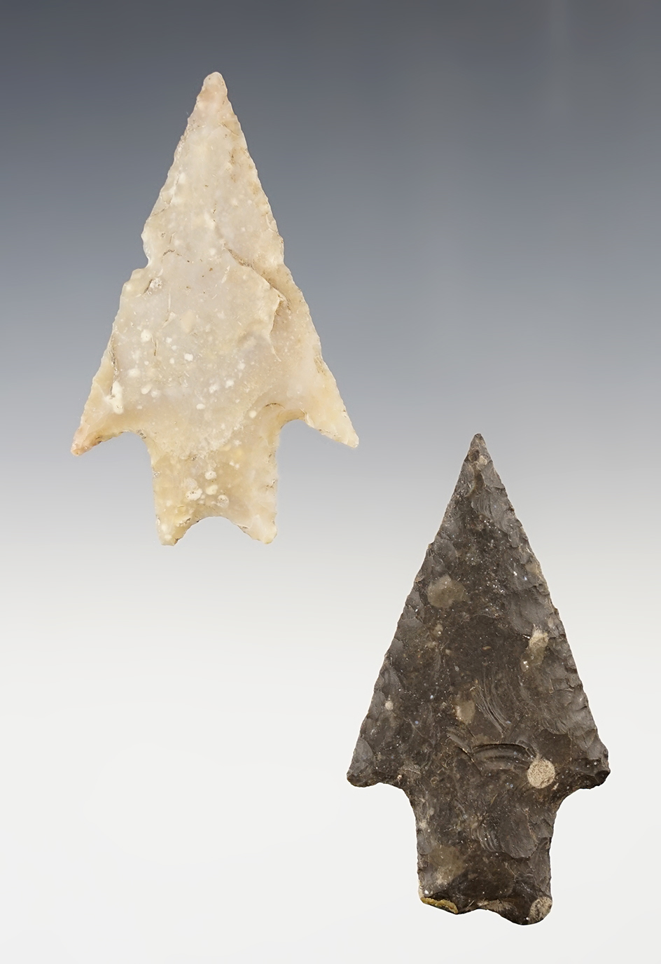 Ex. Museum! Pair of very nice Pedernales found in Central Texas. The largest is 2 5/8".