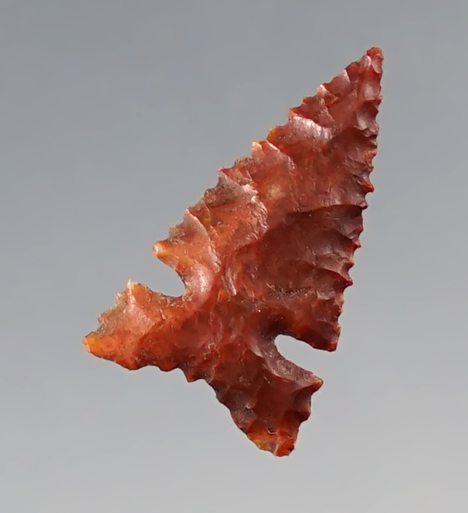 Finely flaked 3/4" Desert Sierra - Jasper. Found near the Feather River in Northern California.