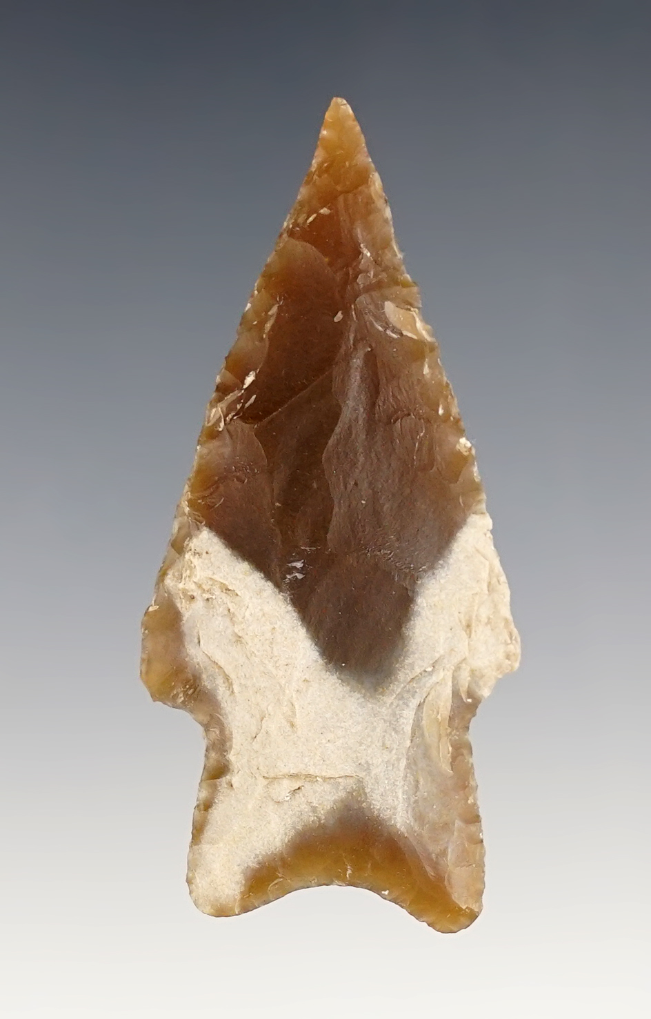 2 1/2" Pedernales found in Bandera Co., Texas. Comes with an Arnold COA.