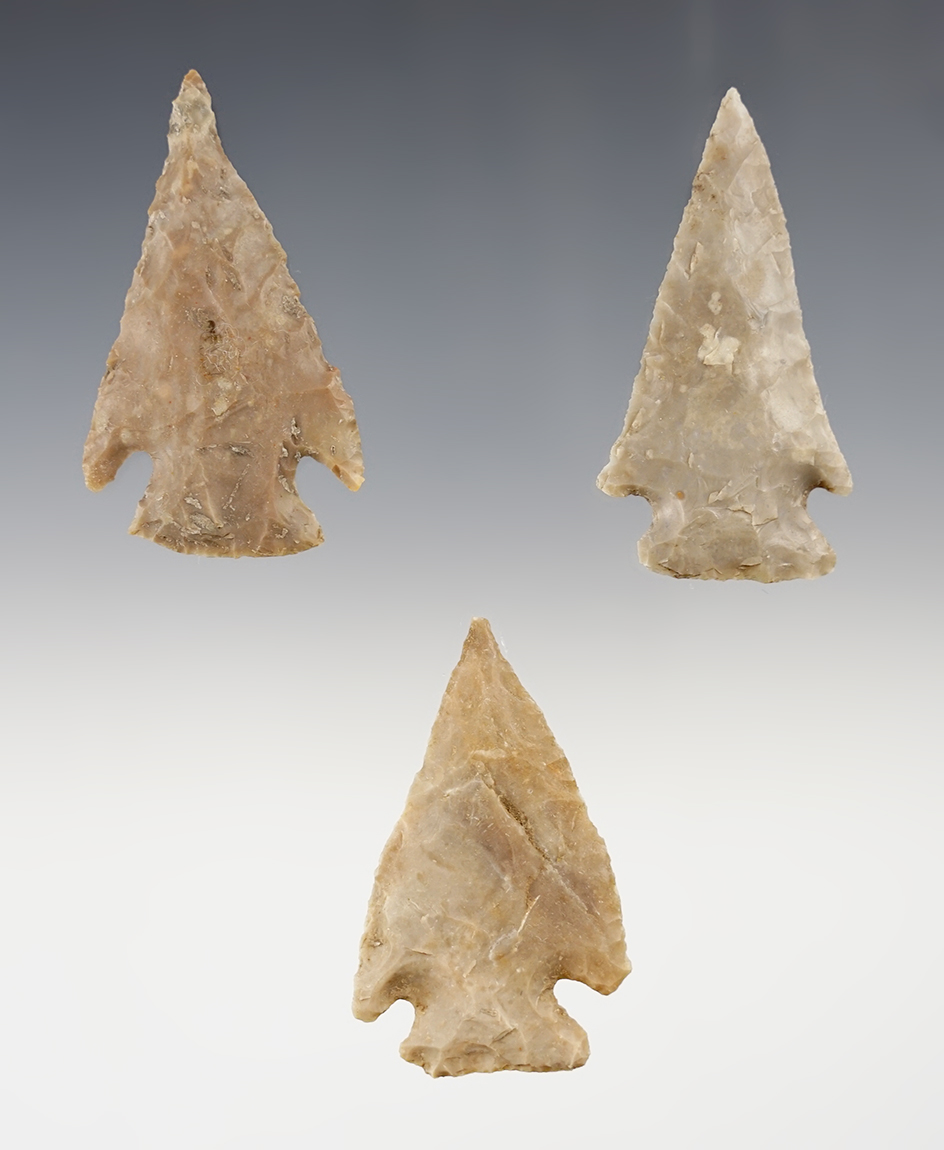 Ex. Museum! Set of 3 well patinated Points found in Central Texas. The largest is 2 7/16".