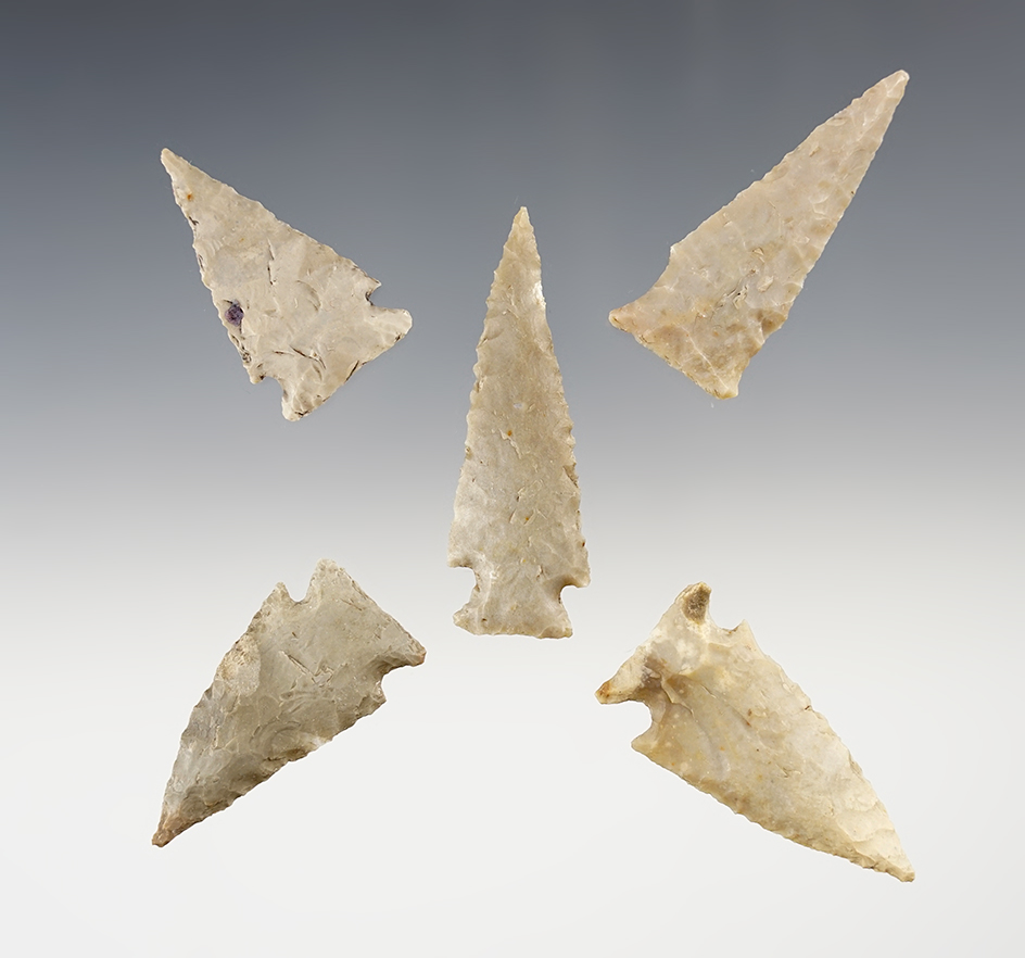 Ex. Museum! Set of 5 nicely made points found in Central Texas. The largest is 2 3/8"