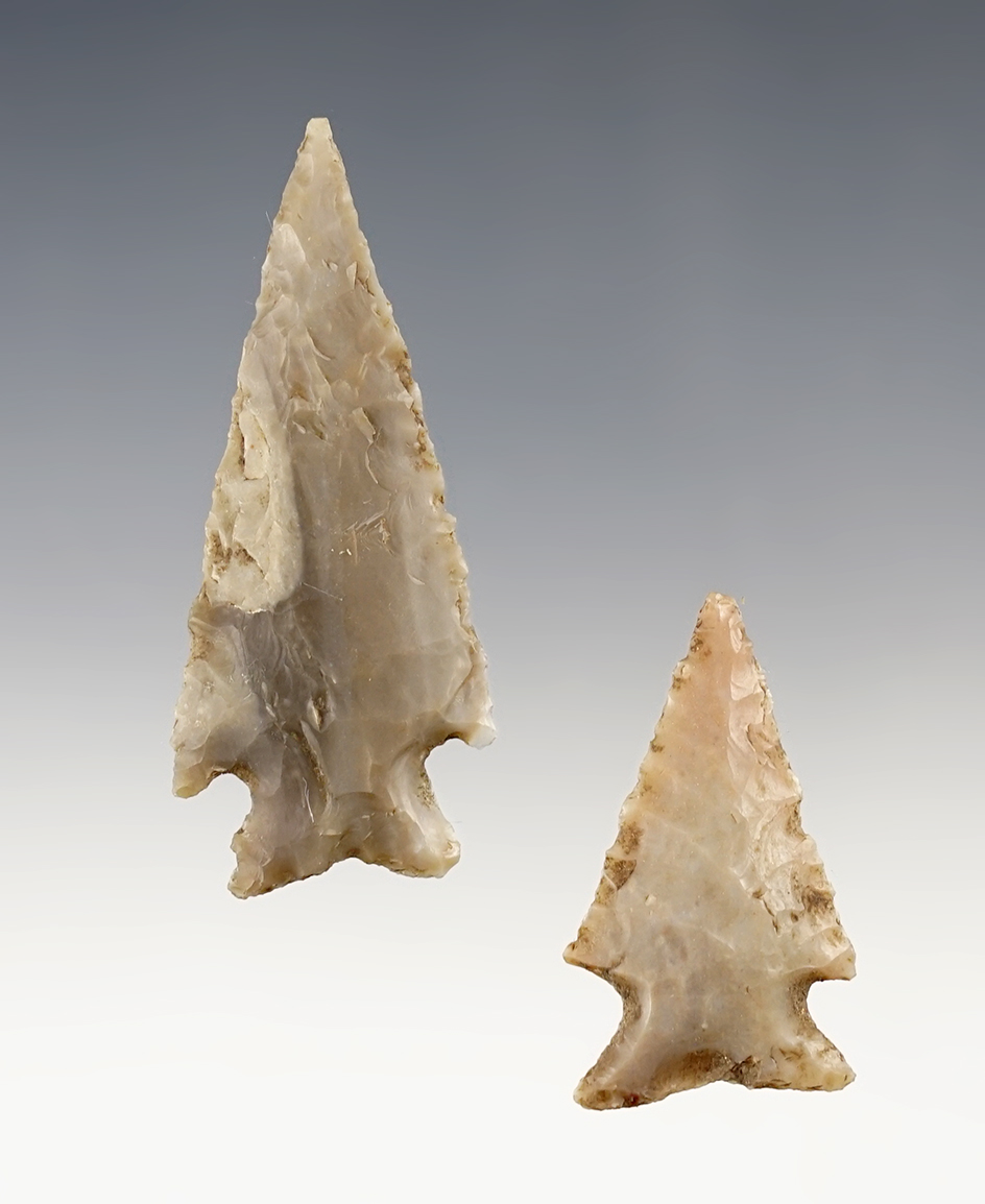 Ex. Museum! Pair of fine Martindale points found in Central Texas. The largest is 2 3/8".