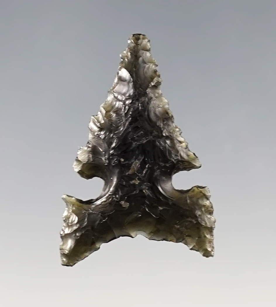 Nice 1 15/16" Obsidian Northern Side-Notch Fox Ear. Found by Hank Cassidy, Lake Co., Oregon.