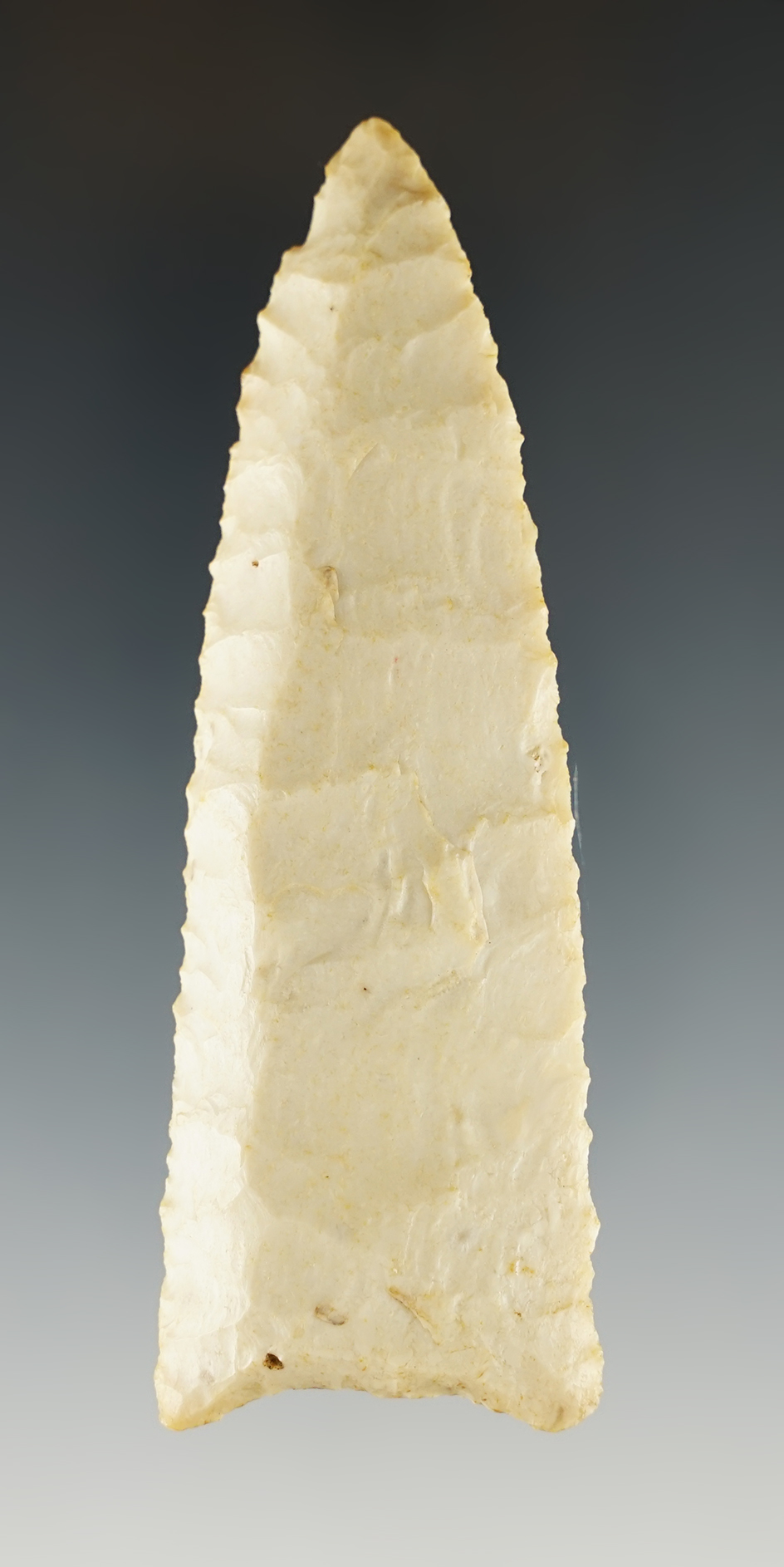 3 1/2" Illinois Dalton. Ex. Mel Wilkens collection.