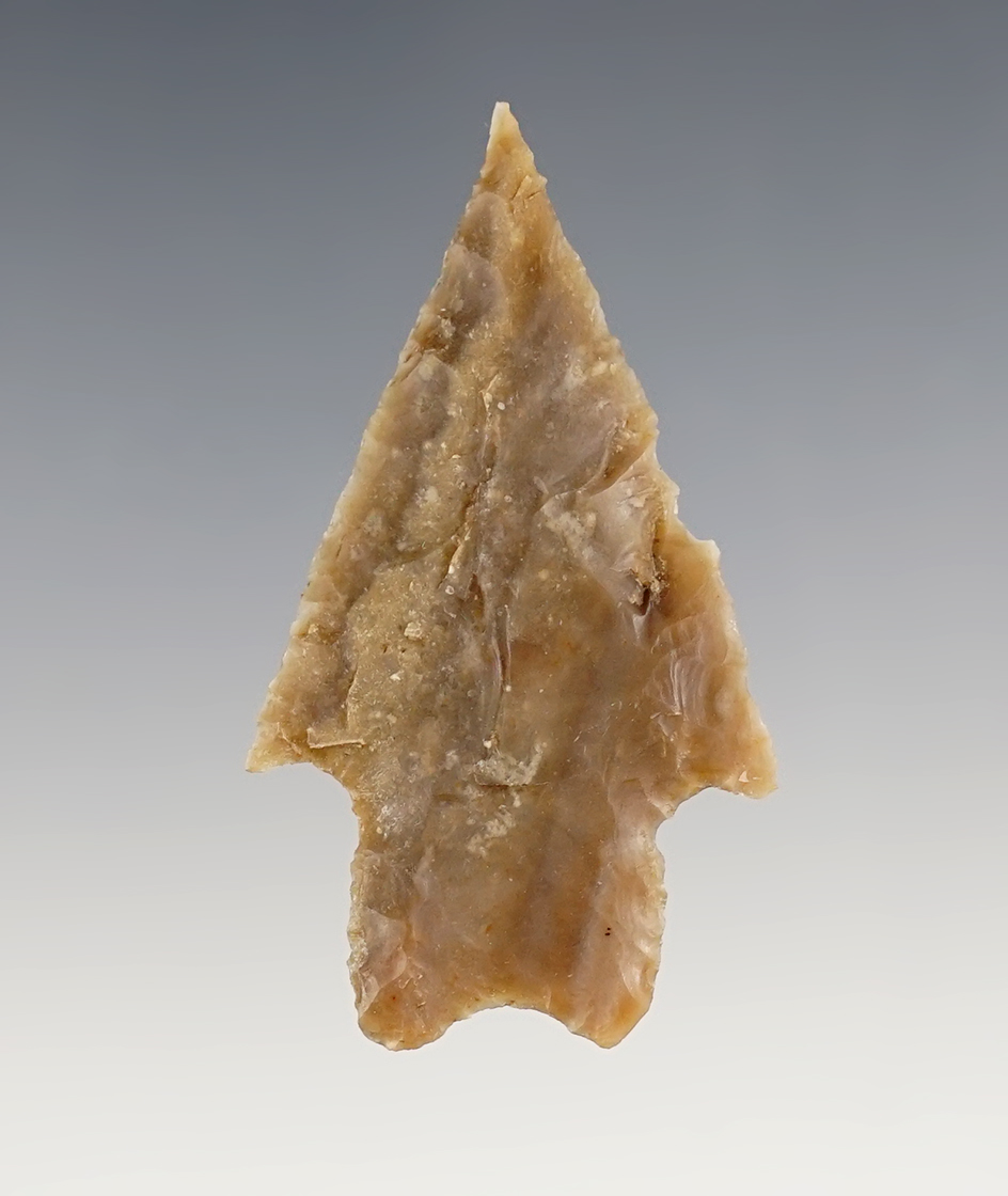 Nice 2 1/4" Texas Pedernales with a sharp tip.